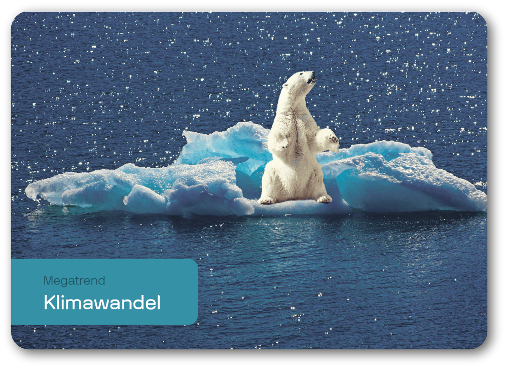 Die Vorderseite einer Karte mit einem Eisbär